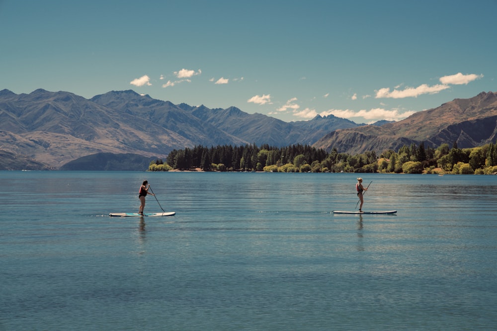 two person riding on paddle boards during daytime