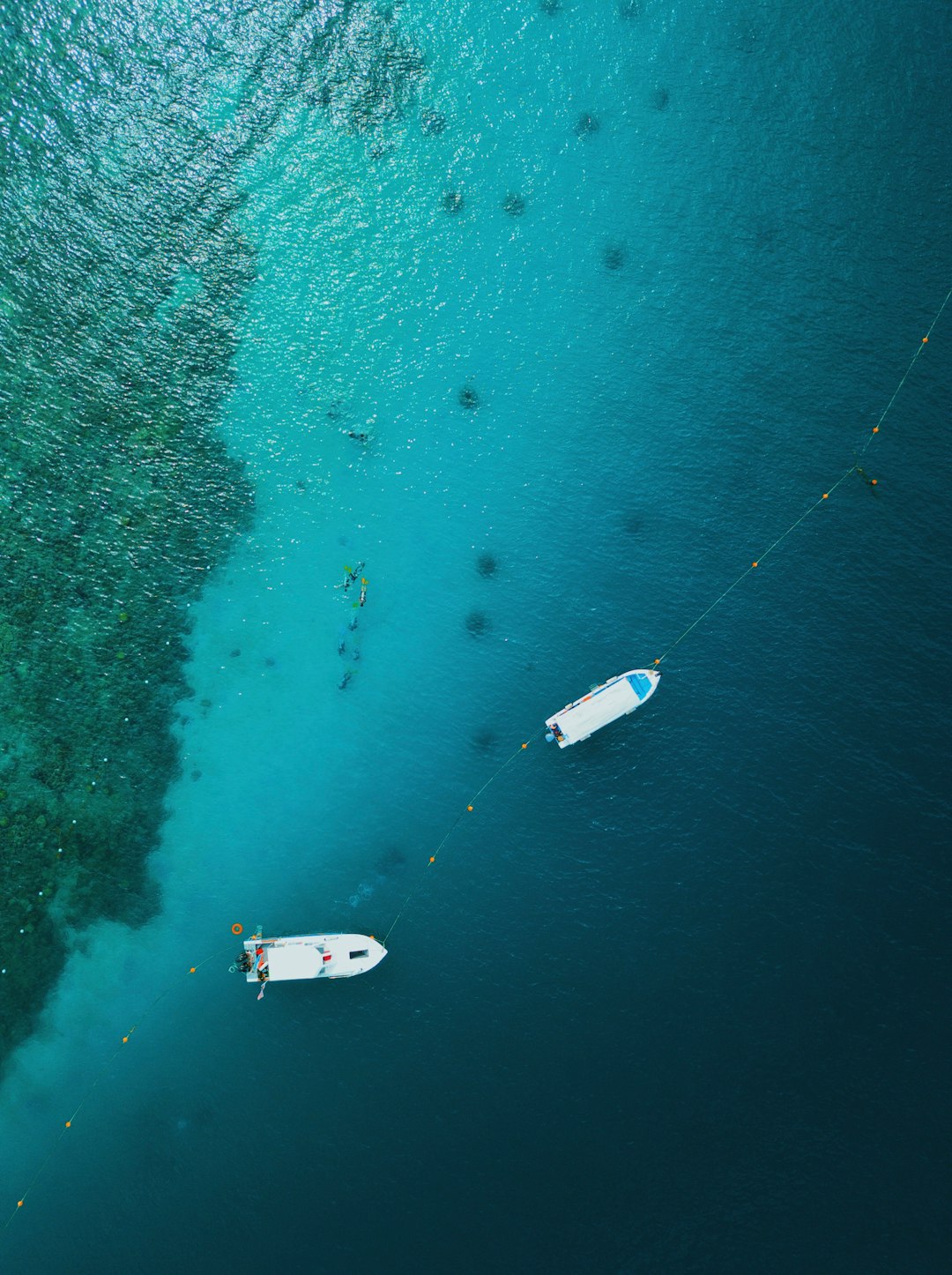 Underwater photo spot Pulau Sapi Malaysia