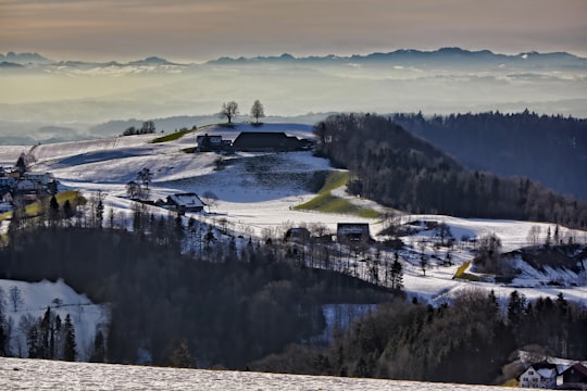 snow-covered land in Hirzel Switzerland