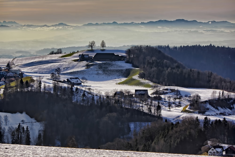 snow-covered land