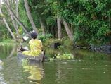 A woman in a green sari is paddling a small wooden canoe on a peaceful river surrounded by lush greenery and palm trees. There are water plants floating on the surface of the water.