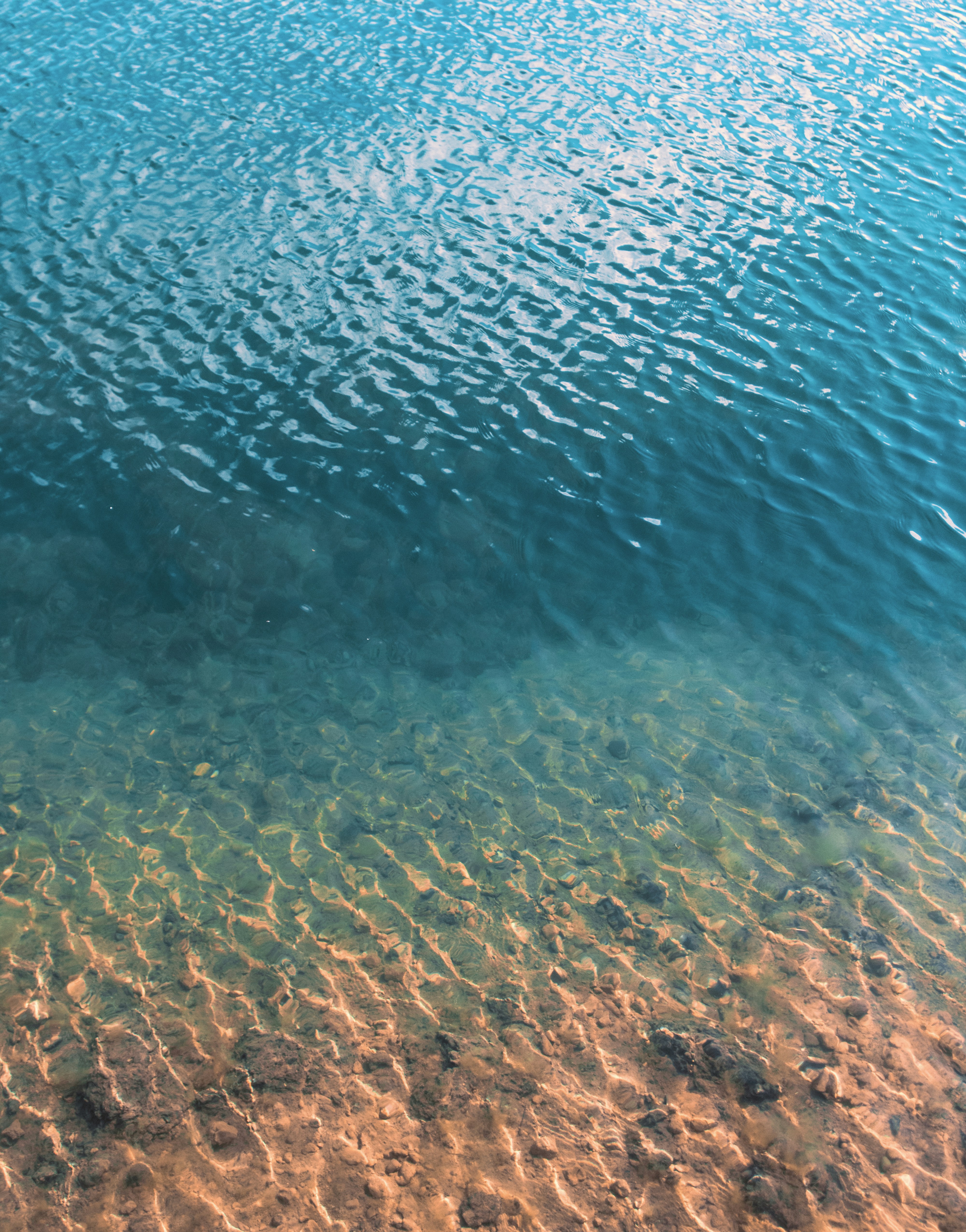 Market Daily Alpha – 19 November 2024: Bitcoin's Wave 4 Consolidation & XRP's Triumphant Breakout