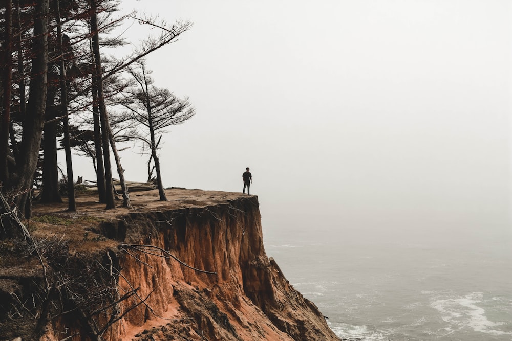 person standing on mountain cliff