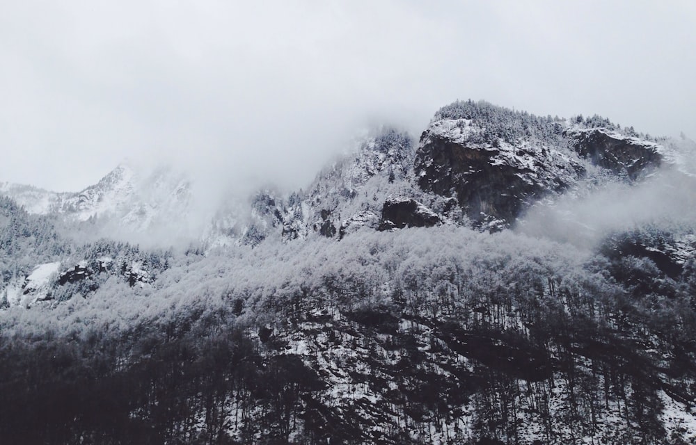 grayscale photo of mountains and trees