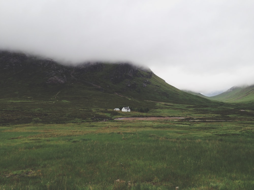 white wall paint house in green grass field