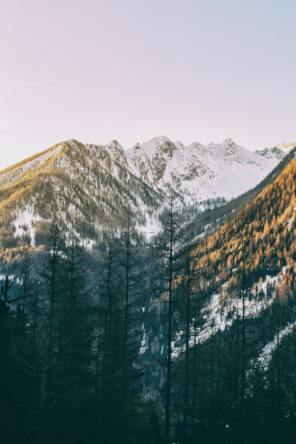 snow covered mountains