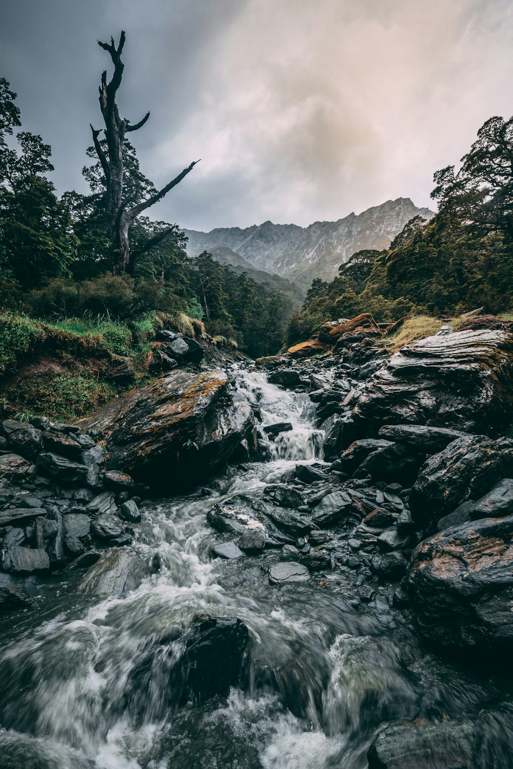 photo of river surrounded by rocks