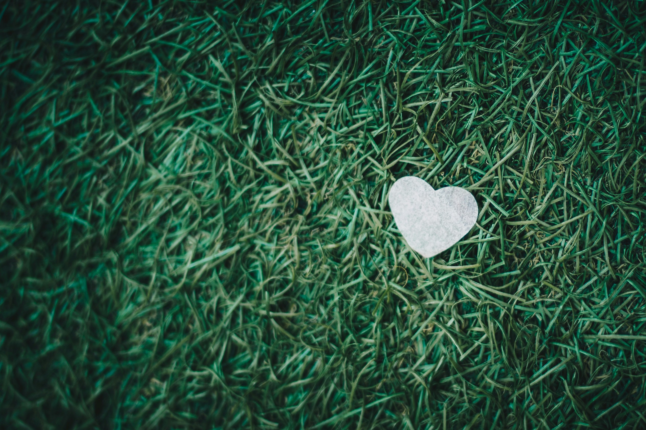 gray heart decor on green grass