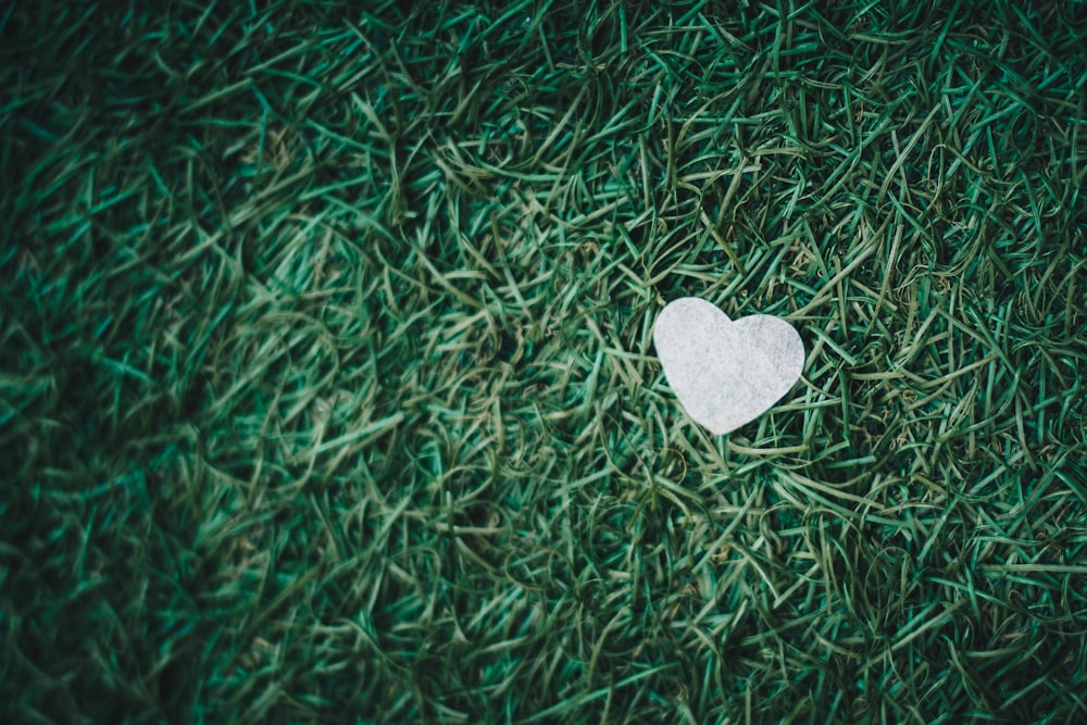 gray heart decor on green grass