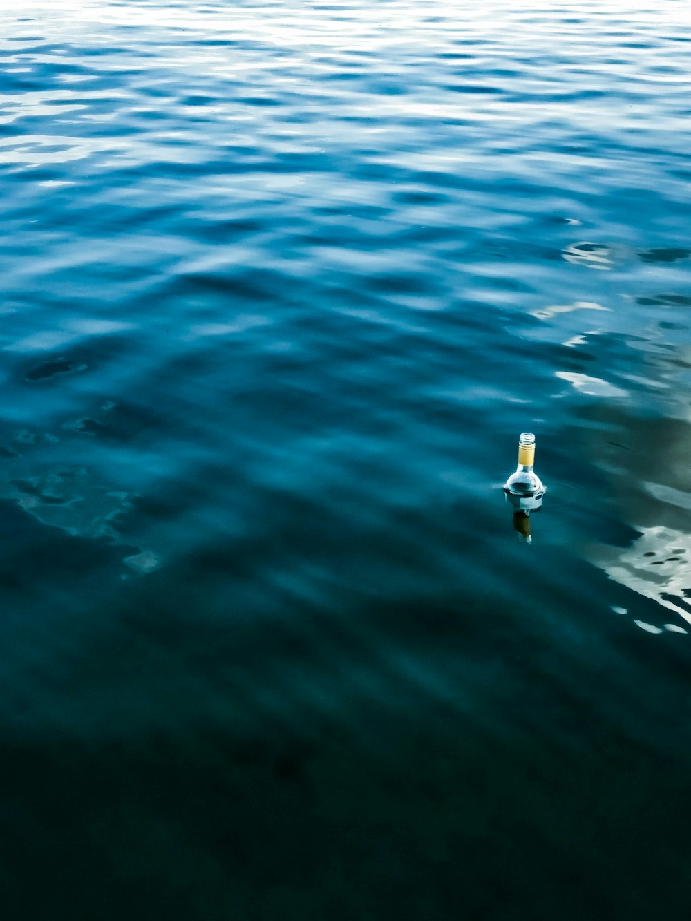 bottle on body of water