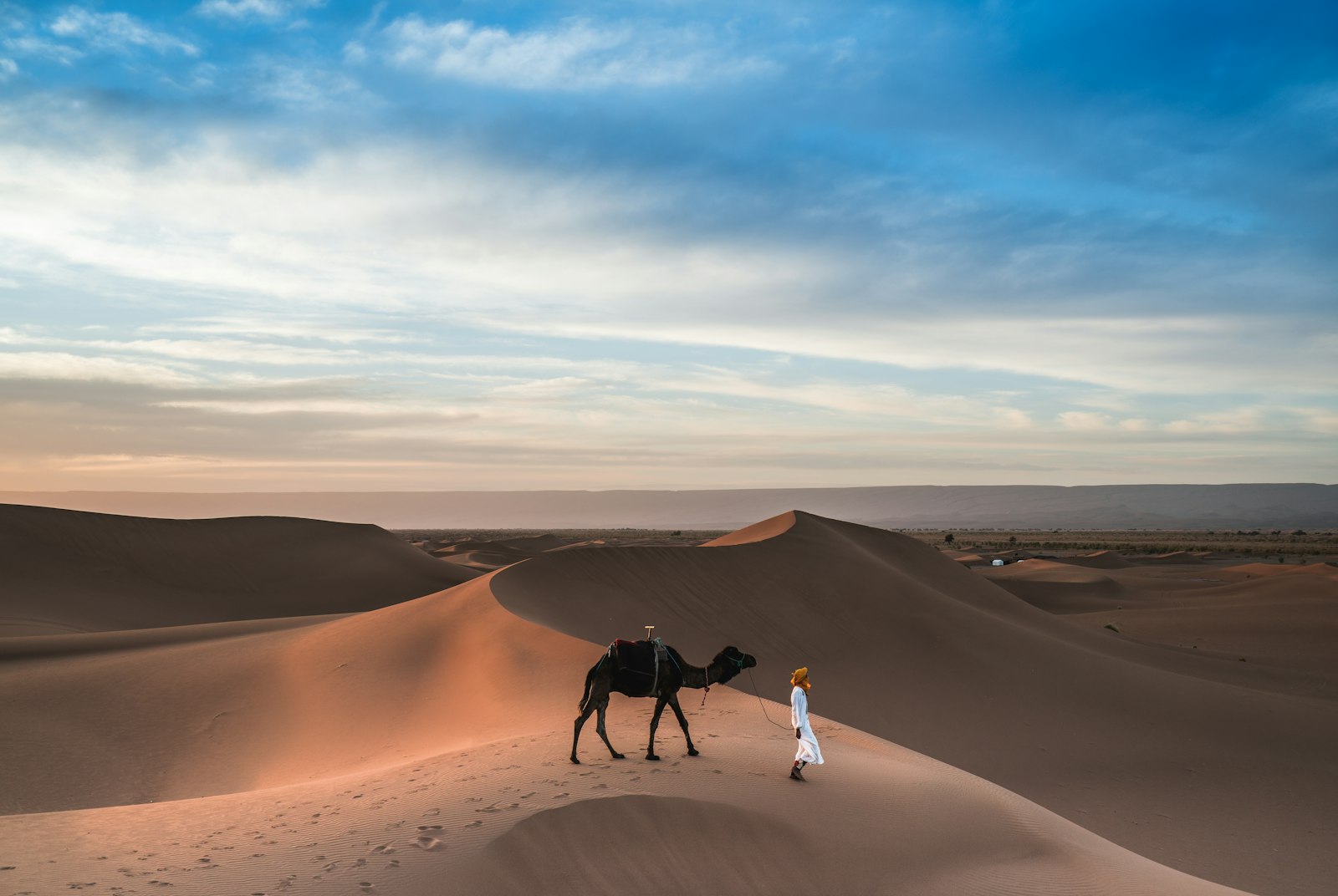 Sony a7R II + Sony Vario-Tessar T* FE 16-35mm F4 ZA OSS sample photo. Man walking with camel photography