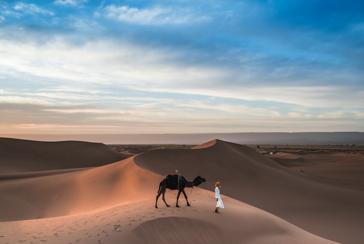 Desert Safari in Bikaner