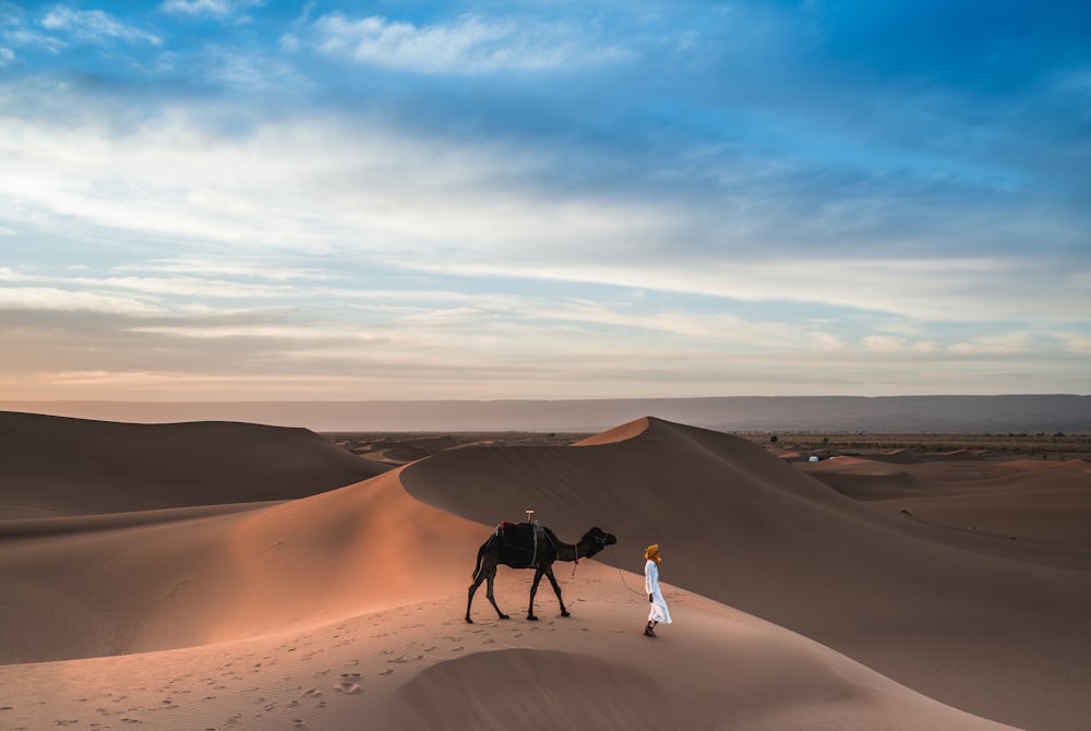 man walking with camel on desert