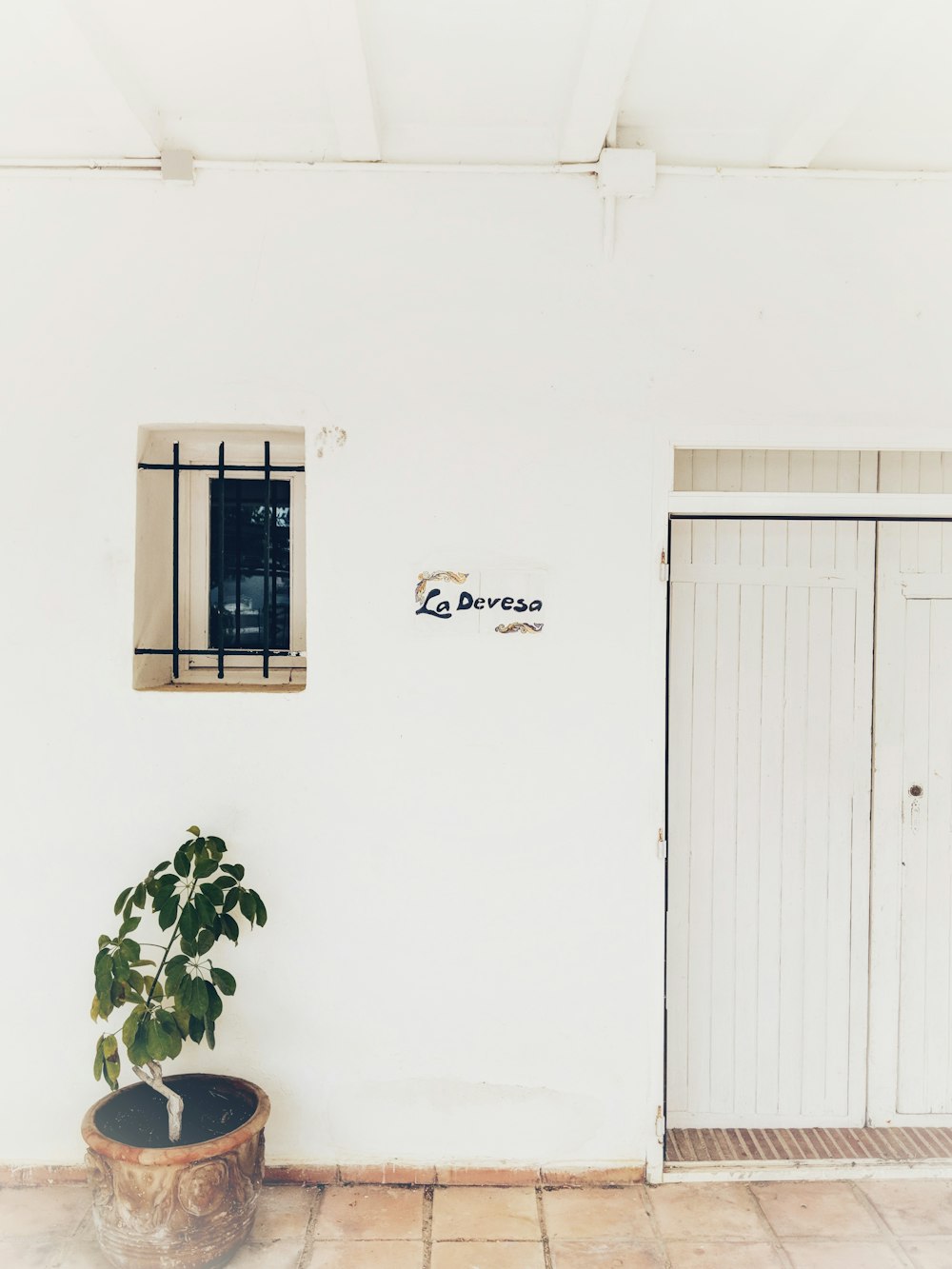 green indoor potted plants near white wooden doors