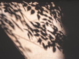 lavoro sull'ombra cammino della luna