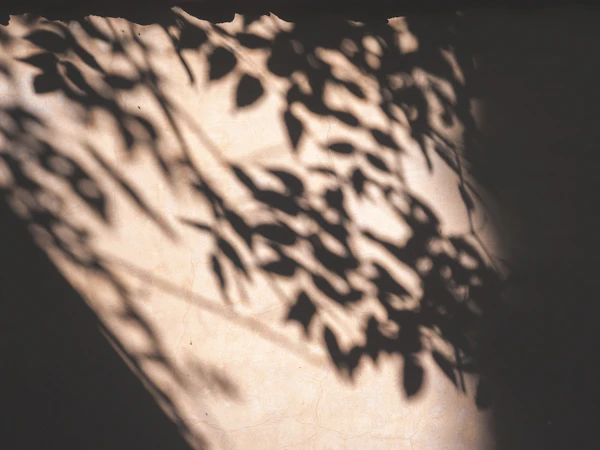 Abstract light photograph for Google Drive vs Branded Gallery for Wedding Video Delivery