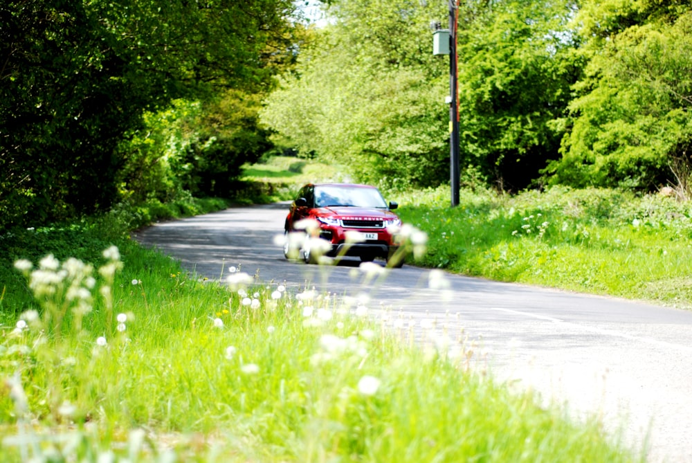 red car parked on road near trees