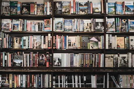 A reader studying a book by a window