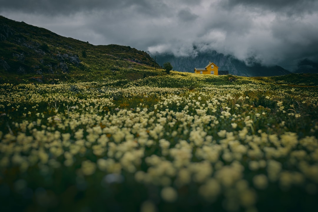 travelers stories about Hill in Hovden, Norway