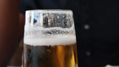 Close-up of a frothy craft beer poured into a glass, set against a backdrop of deep green plants and amber lighting.