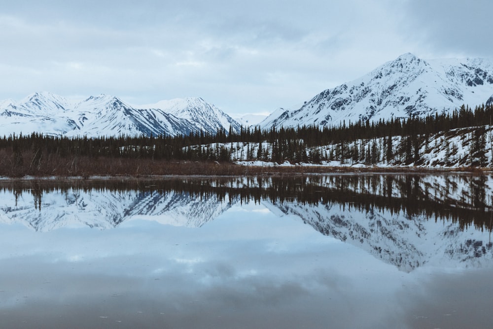 body of water surrounded by mountains under blue sky during daytime