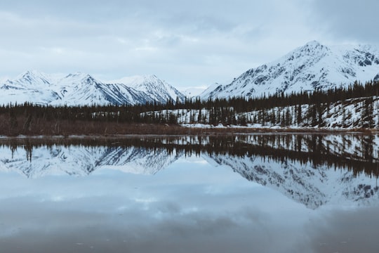 body of water surrounded by mountains under blue sky during daytime in Denali State Park United States