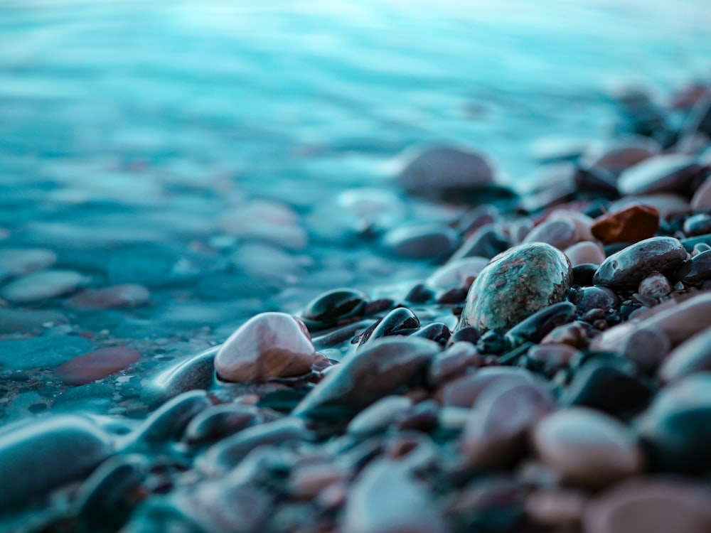 brown and black stones at the seashore