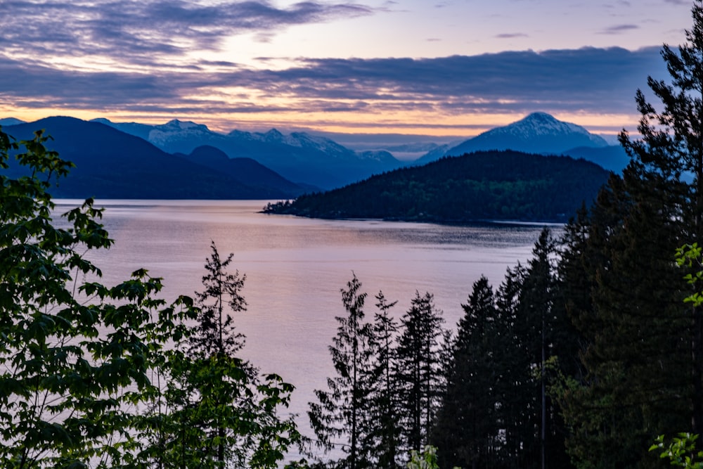 Bäume am Meer unter bewölktem Himmel bei Sonnenuntergang