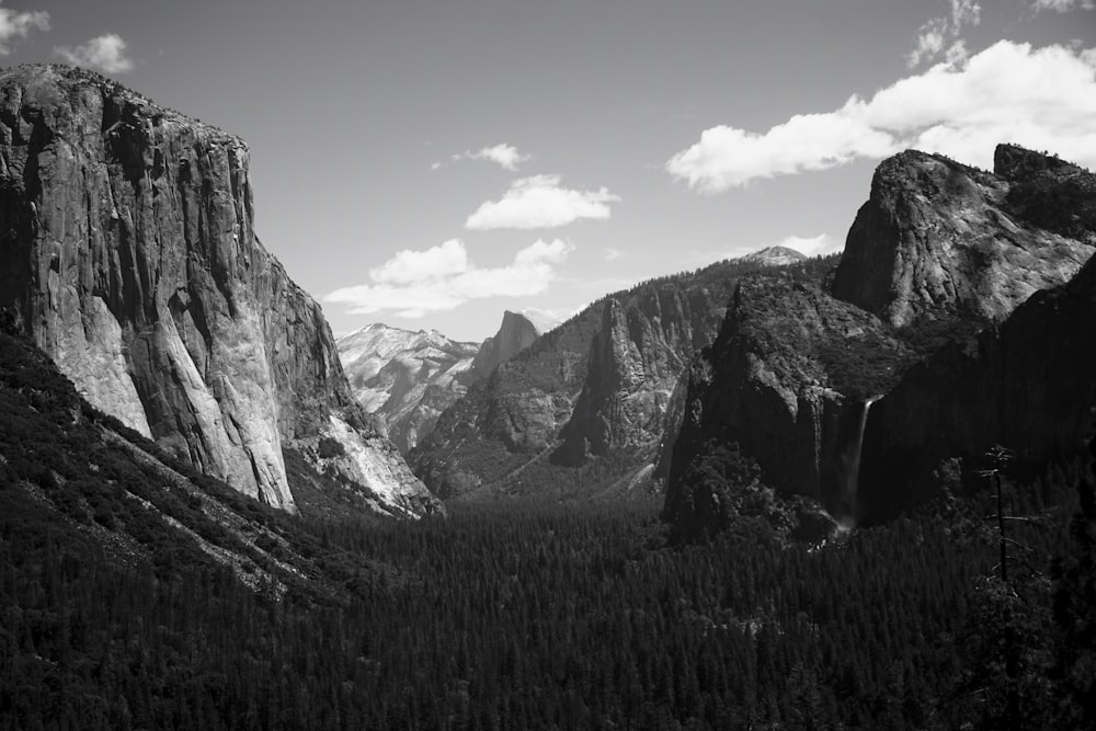 Ansel Adams Pictures | Download Free Images on Unsplash