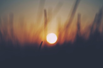golden hour photo