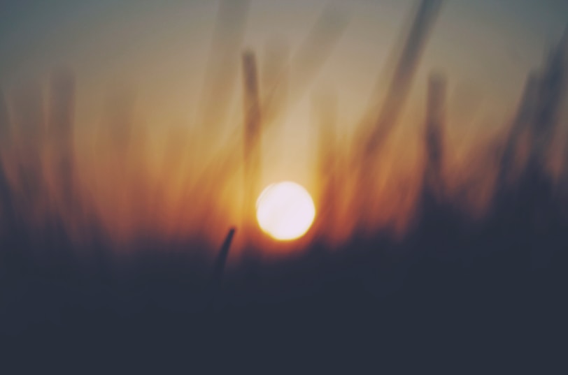 golden hour photo