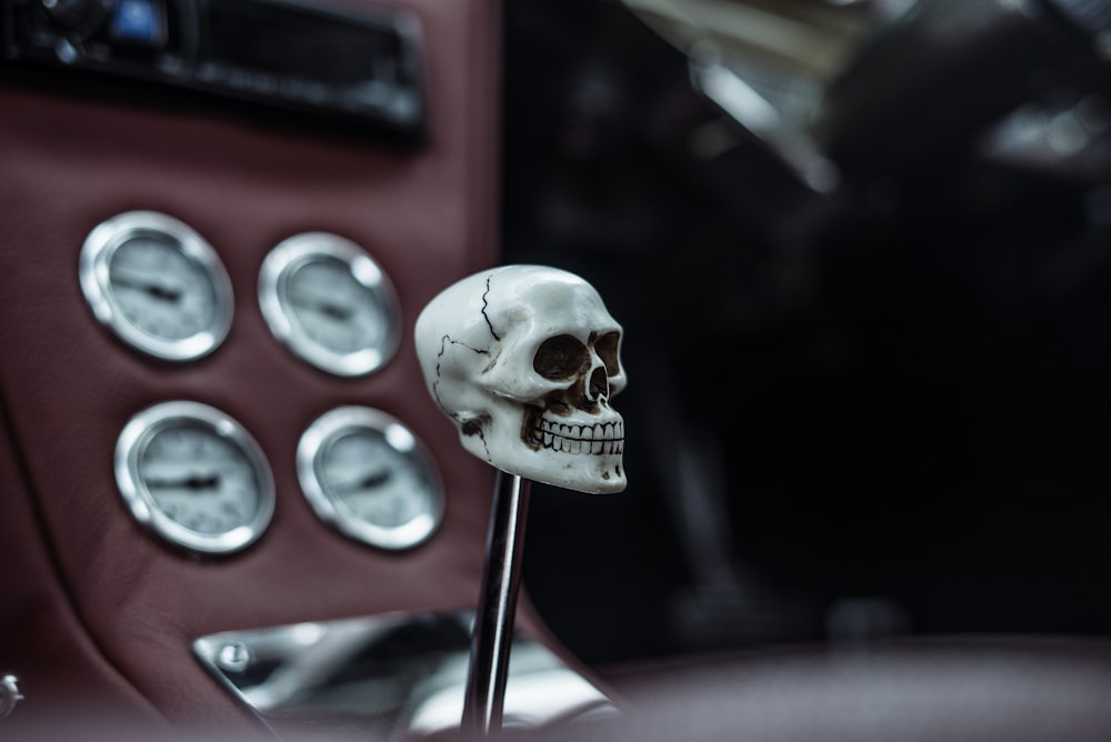 shallow focus photography of skull