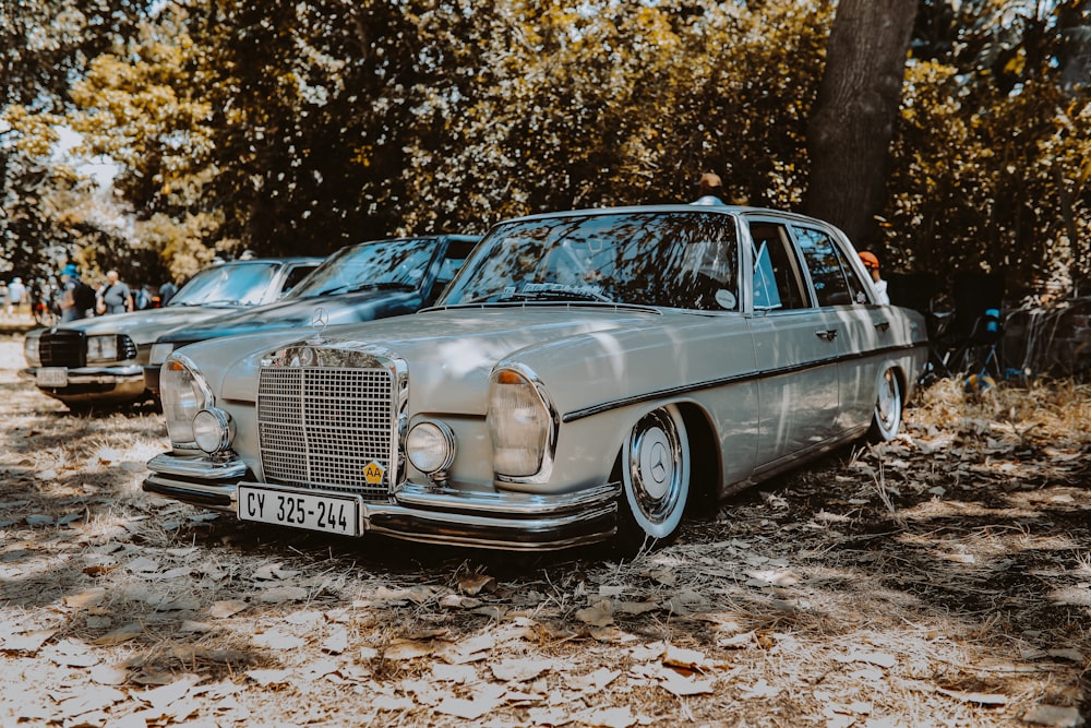 graue Mercedes-Benz Limousine