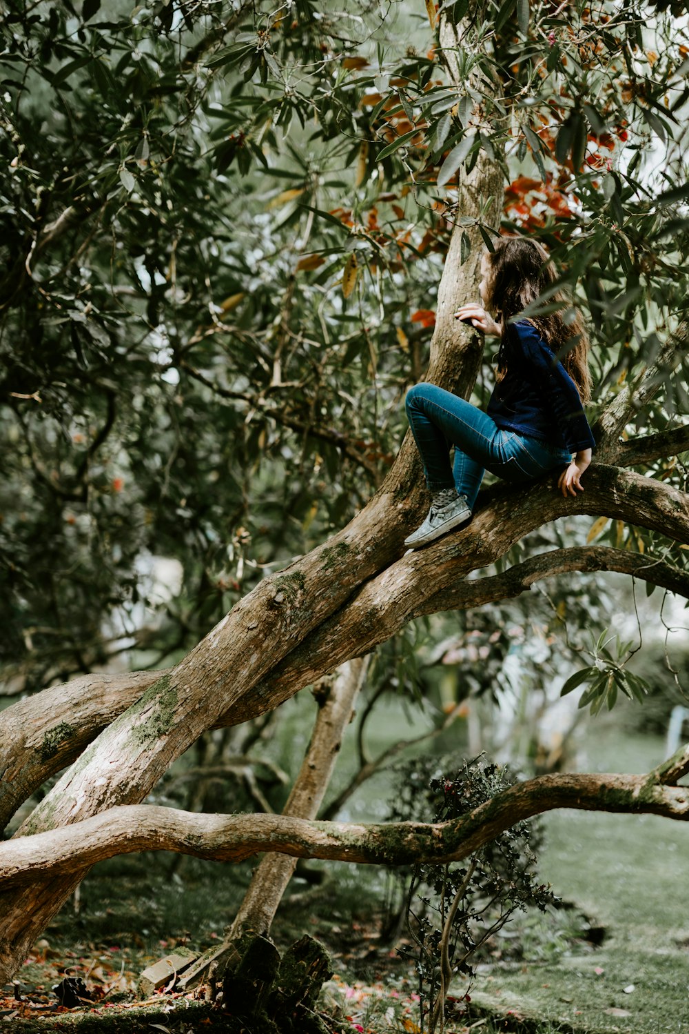 Muchacha sentada en la rama de un árbol