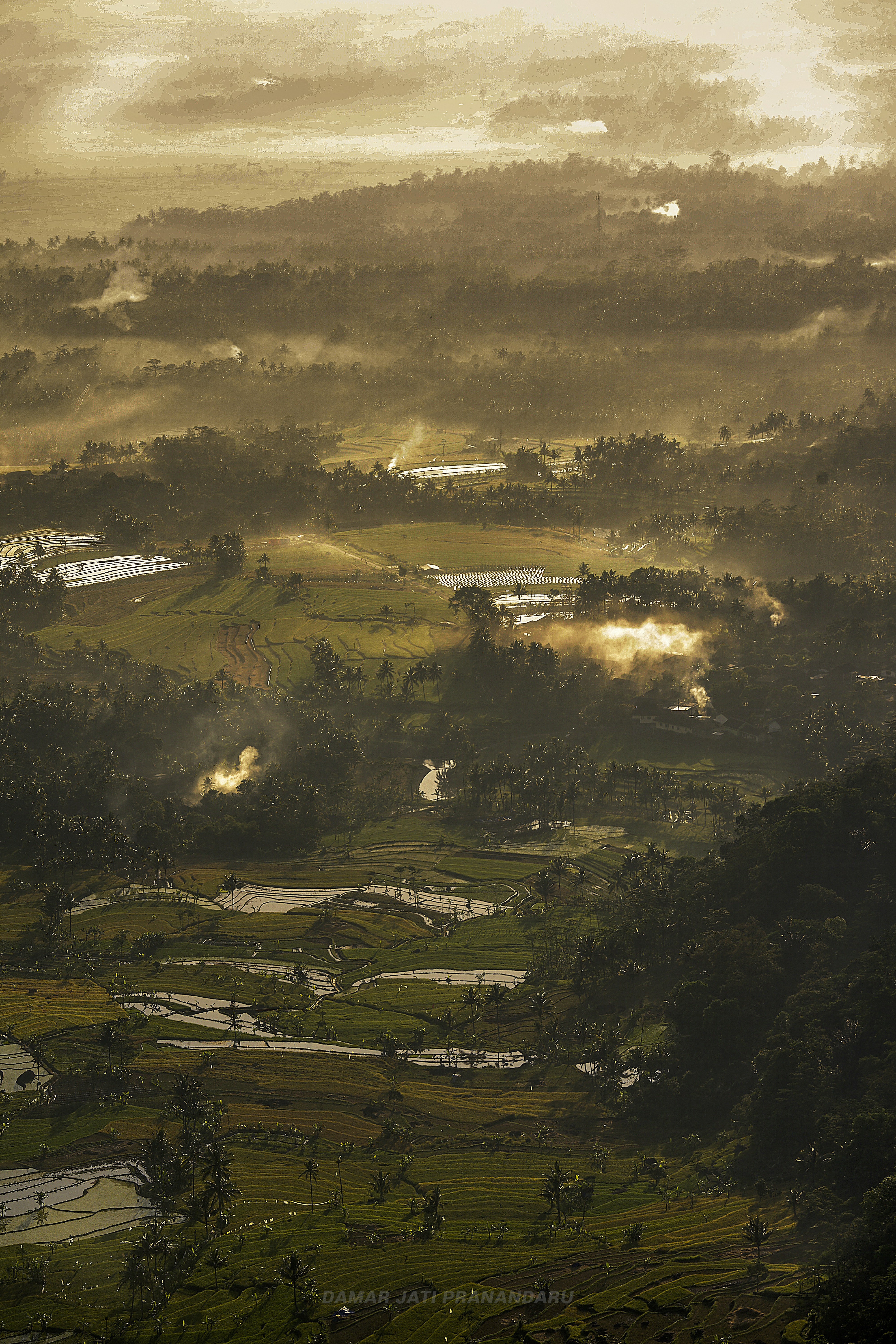 Lush tropical Bali rice terraces at golden sunrise, rich emerald greens, warm amber sky, misty atmosphere
