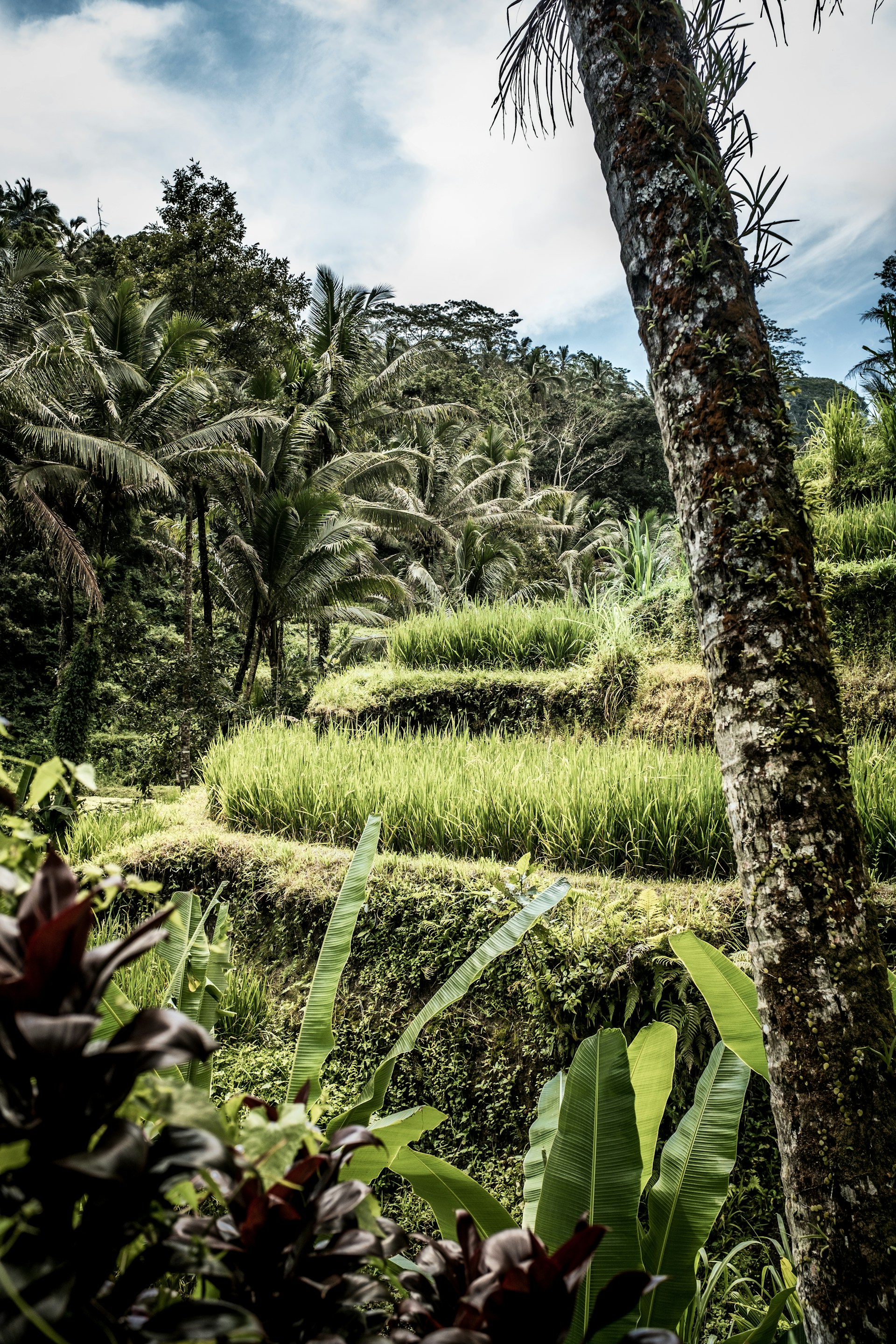 black and white bed linen