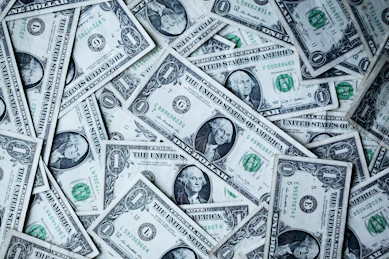 1 U.S.A dollar banknotes