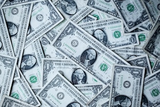 Raising Capital Through Crowdfunding