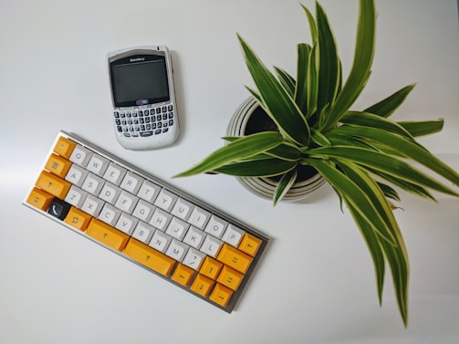 A serene workspace with a phone and a plant.