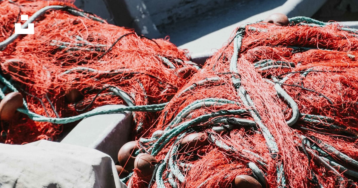 Red fishing net photo – Free Cassis Image on Unsplash