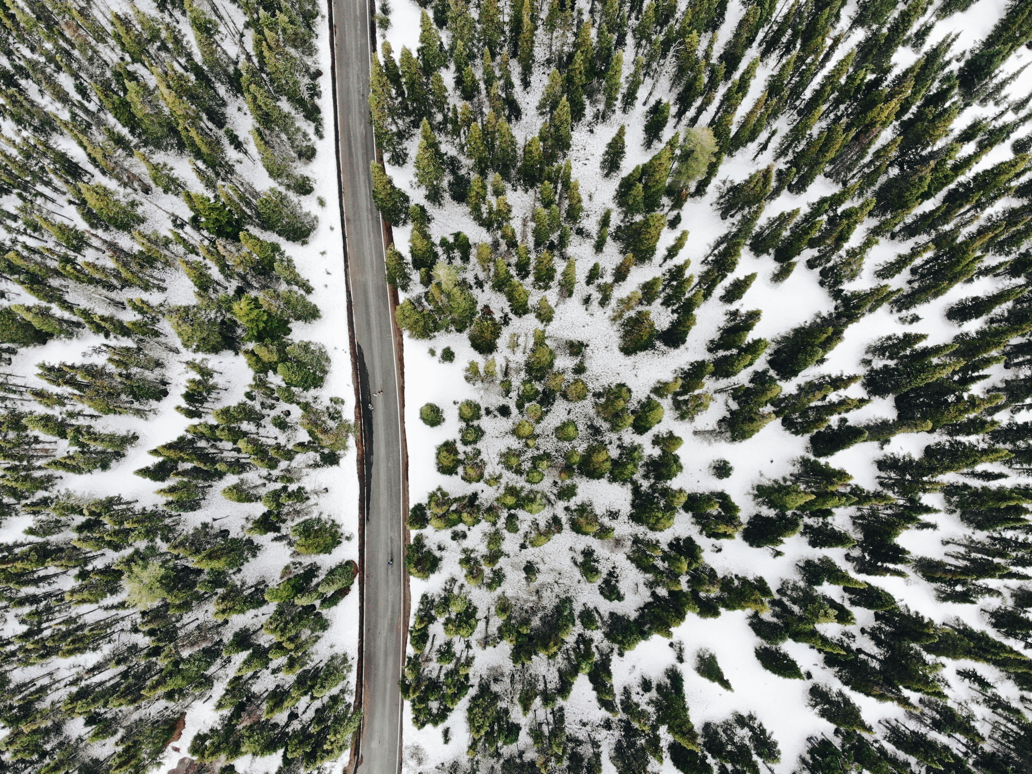 Olympic National Park