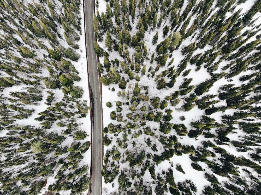 Fotografía aérea de árboles cubiertos de nieve y carreteras