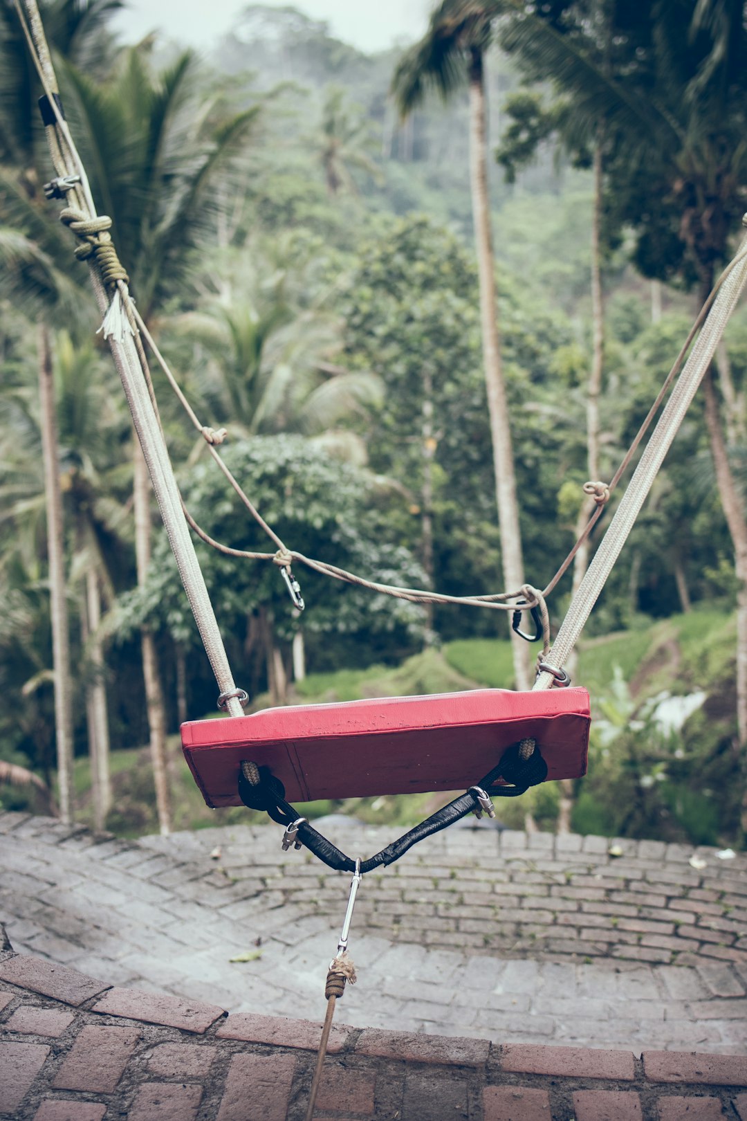 red and beige swing chair