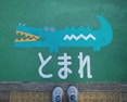 teal crocodile painted ground