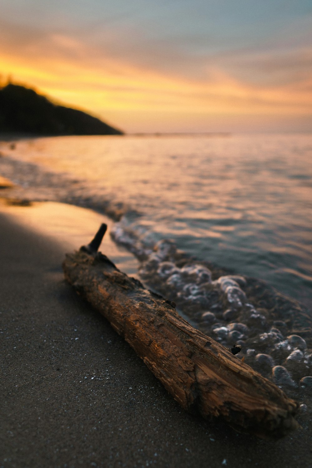 shore under gray sky during daytime