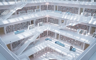 high-raise photography of library