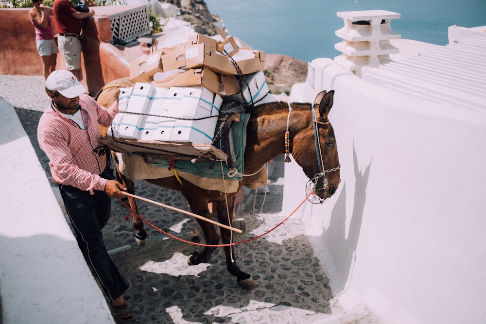 hombre sosteniendo la cadena del caballo