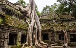Cambodia holidays