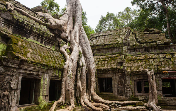 Siem Reap, Cambodia photo 2