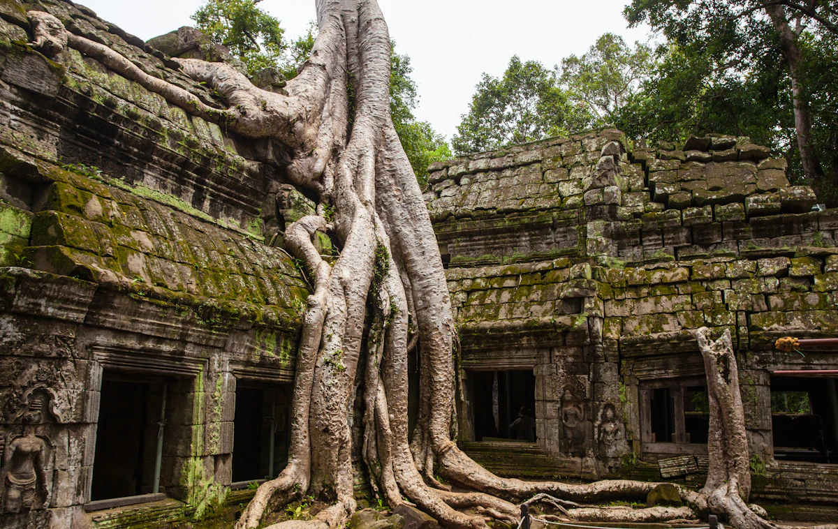 Cambodia landscape